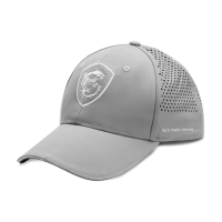 MSI Sporting Baseball Cap