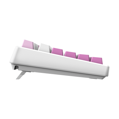 FORGE GK600 TKL VIOLET Wireless Gaming Keyboard