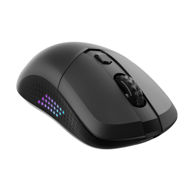 VERSA 300 Elite Wireless Gaming Mouse