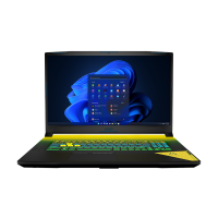 Crosshair 17 B12UEZ-296 17.3 FHD Gaming Laptop