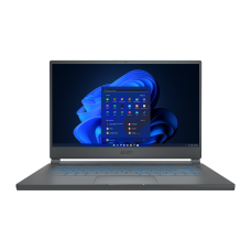 Stealth 15M A11SEK-220 15.6" FHD Gaming Laptop