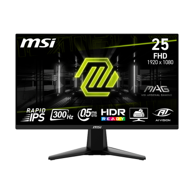 MAG 255XF 25" FHD 300Hz Flat Gaming Monitor