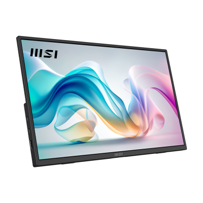 Pro MP165 E6 15.6" FHD 60Hz Portable Monitor