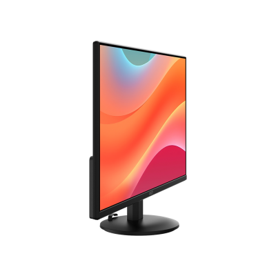 PRO MP242LE 24" FHD 100Hz Flat Business & Productivity Monitor