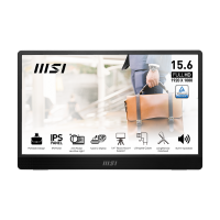 Pro MP161E6 15.6" FHD 60Hz Portable Monitor