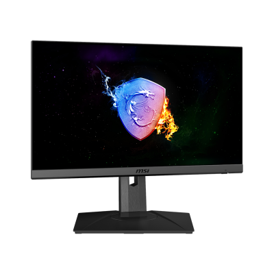 Optix G242P 24" Flat Gaming Monitor