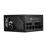 MPG A1250GS PCIE5 II Power Supply