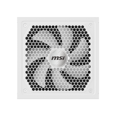 MAG A1000GL PCIE5 WHITE Power Supply