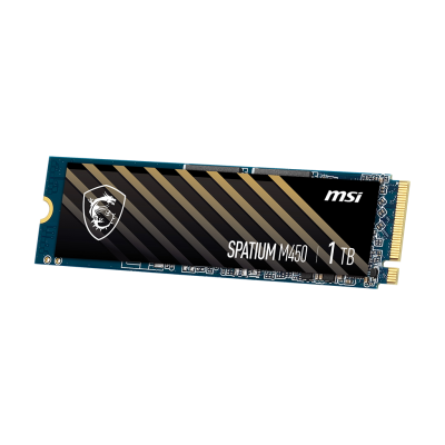 SPATIUM M450 PCIe 4.0 NVMe M.2 1TB