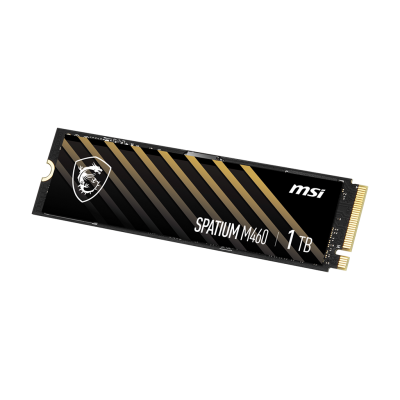 SPATIUM M460 PCIe 4.0 NVMe M.2 1TB