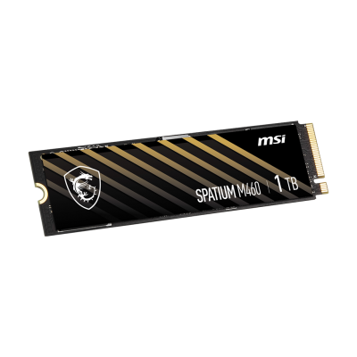 SPATIUM M460 PCIe 4.0 NVMe M.2 1TB
