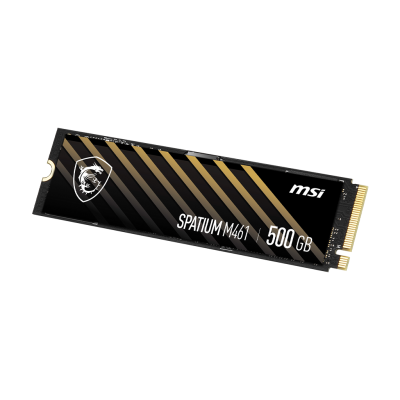 SPATIUM M461 PCIe 4.0 NVMe M.2 500GB