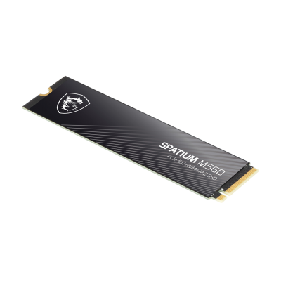 SPATIUM M560 PCIe 5.0 NVMe M.2 1TB SSD