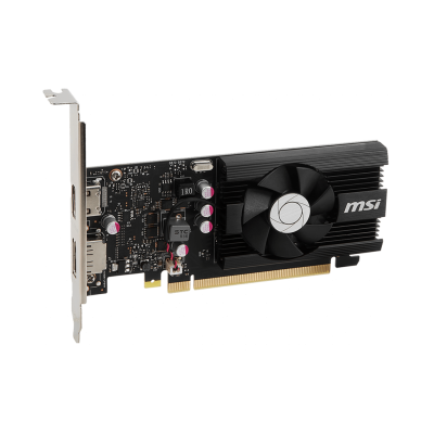 GeForce GT 1030 2GD4 LP OC