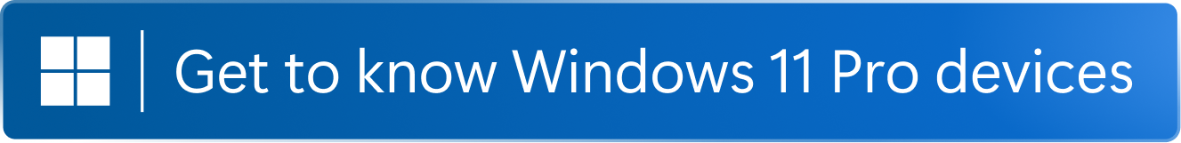 Windows 11